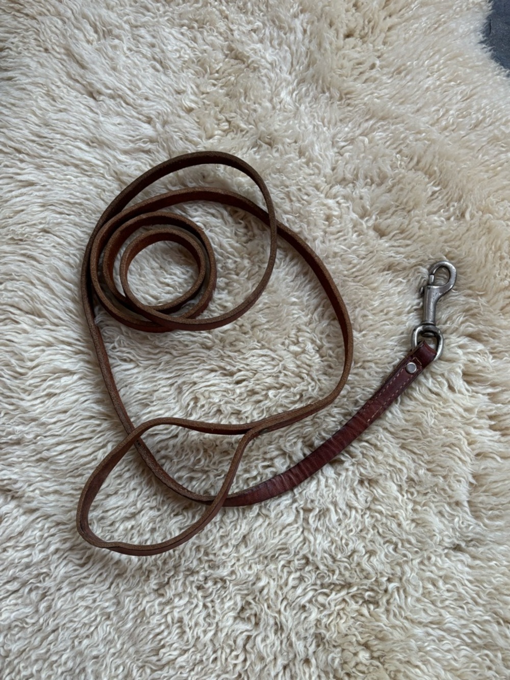 Leather Dog Leash
